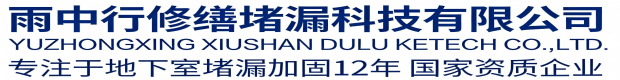 丽水雨中行修缮堵漏科技有限公司